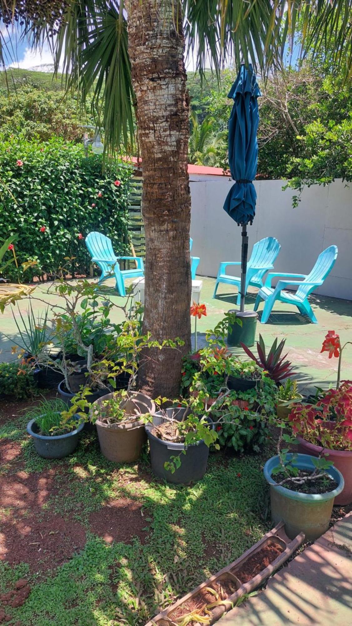 Teavapiti Lodge Uturoa Luaran gambar